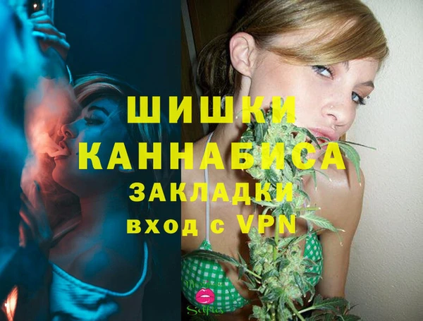 прущая мука Ельня