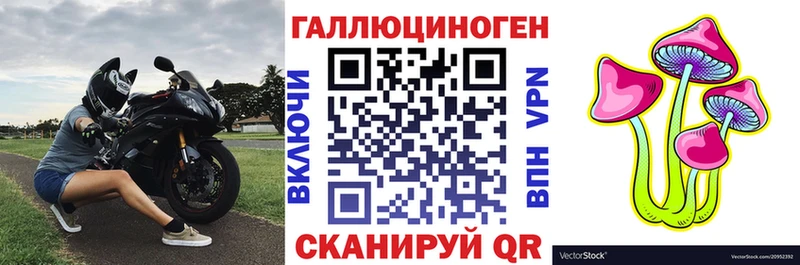 Псилоцибиновые грибы Magic Shrooms  Купить где  Буй 